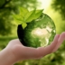 Sustentabilidade no mundo e no Brasil e seus desafios